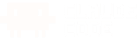 Claude Code